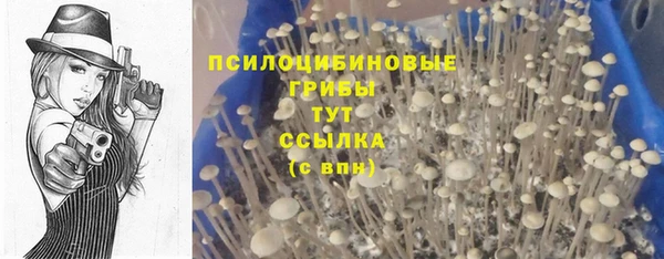 ПСИЛОЦИБИНОВЫЕ ГРИБЫ Баксан