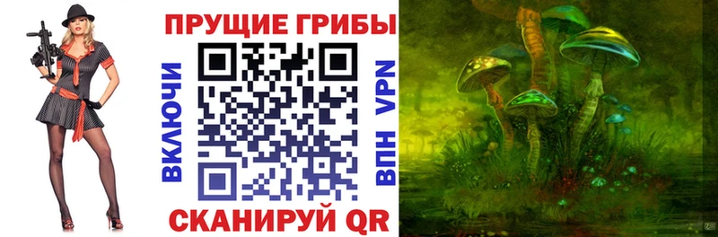 Псилоцибиновые грибы прущие грибы Буинск